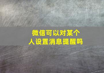 微信可以对某个人设置消息提醒吗