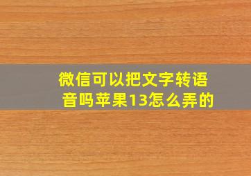 微信可以把文字转语音吗苹果13怎么弄的