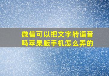 微信可以把文字转语音吗苹果版手机怎么弄的