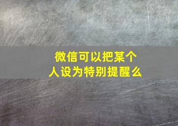 微信可以把某个人设为特别提醒么