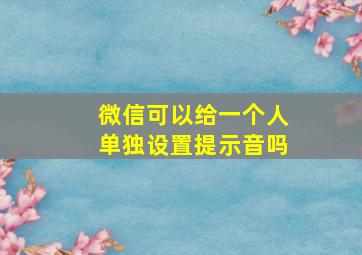 微信可以给一个人单独设置提示音吗