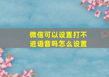 微信可以设置打不进语音吗怎么设置