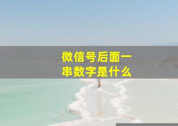 微信号后面一串数字是什么