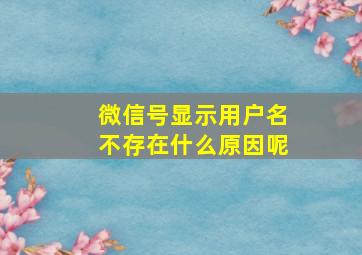 微信号显示用户名不存在什么原因呢