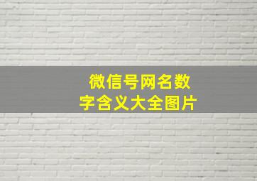 微信号网名数字含义大全图片