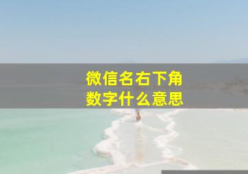 微信名右下角数字什么意思