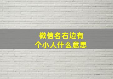 微信名右边有个小人什么意思