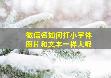 微信名如何打小字体图片和文字一样大呢