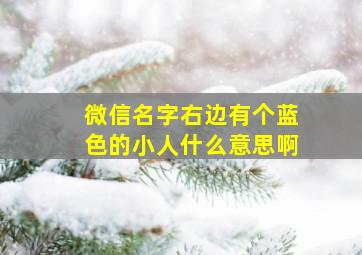 微信名字右边有个蓝色的小人什么意思啊