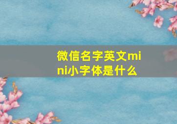 微信名字英文mini小字体是什么