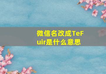 微信名改成TeFuir是什么意思