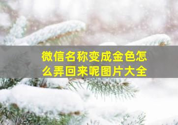 微信名称变成金色怎么弄回来呢图片大全