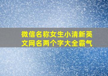 微信名称女生小清新英文网名两个字大全霸气