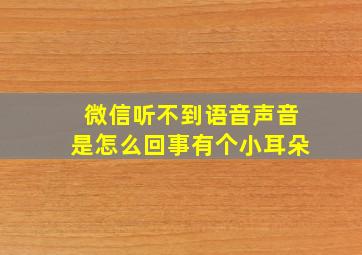 微信听不到语音声音是怎么回事有个小耳朵