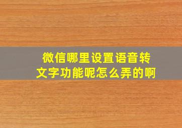 微信哪里设置语音转文字功能呢怎么弄的啊