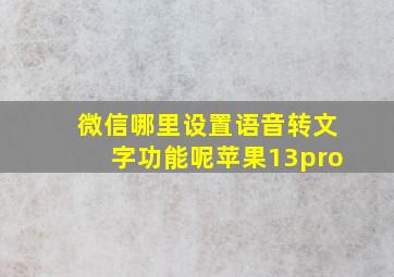 微信哪里设置语音转文字功能呢苹果13pro