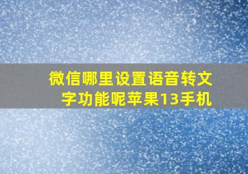 微信哪里设置语音转文字功能呢苹果13手机