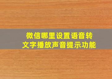 微信哪里设置语音转文字播放声音提示功能