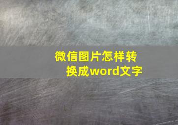 微信图片怎样转换成word文字