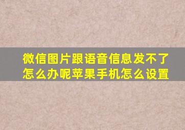 微信图片跟语音信息发不了怎么办呢苹果手机怎么设置