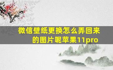 微信壁纸更换怎么弄回来的图片呢苹果11pro