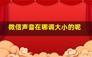 微信声音在哪调大小的呢