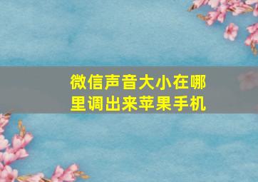 微信声音大小在哪里调出来苹果手机