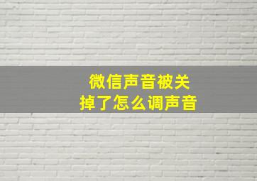 微信声音被关掉了怎么调声音