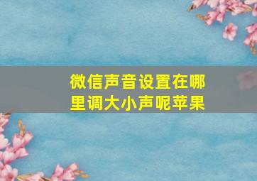 微信声音设置在哪里调大小声呢苹果