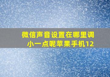 微信声音设置在哪里调小一点呢苹果手机12