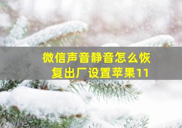 微信声音静音怎么恢复出厂设置苹果11