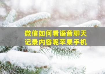 微信如何看语音聊天记录内容呢苹果手机