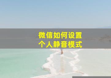 微信如何设置个人静音模式