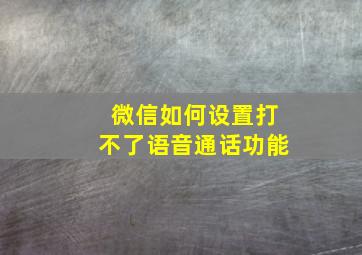 微信如何设置打不了语音通话功能