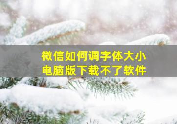 微信如何调字体大小电脑版下载不了软件