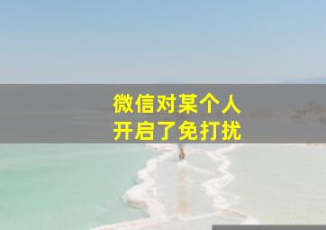 微信对某个人开启了免打扰