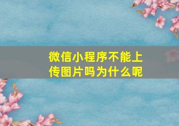 微信小程序不能上传图片吗为什么呢