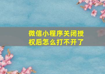 微信小程序关闭授权后怎么打不开了