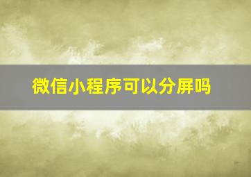 微信小程序可以分屏吗