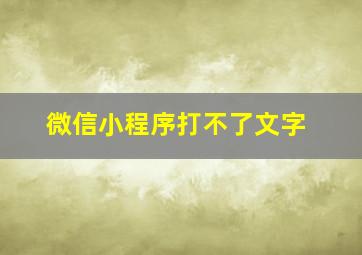 微信小程序打不了文字