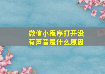 微信小程序打开没有声音是什么原因