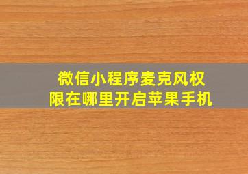 微信小程序麦克风权限在哪里开启苹果手机