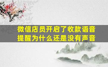 微信店员开启了收款语音提醒为什么还是没有声音