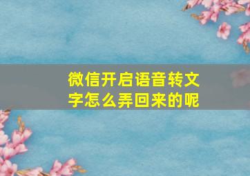 微信开启语音转文字怎么弄回来的呢