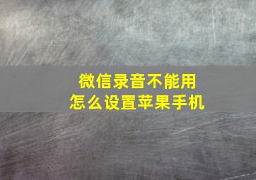 微信录音不能用怎么设置苹果手机