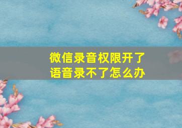 微信录音权限开了语音录不了怎么办