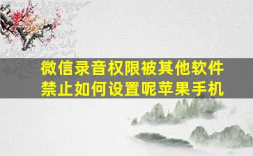 微信录音权限被其他软件禁止如何设置呢苹果手机