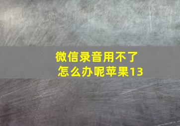 微信录音用不了怎么办呢苹果13