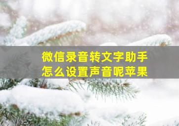 微信录音转文字助手怎么设置声音呢苹果