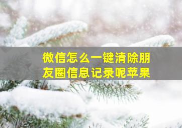 微信怎么一键清除朋友圈信息记录呢苹果